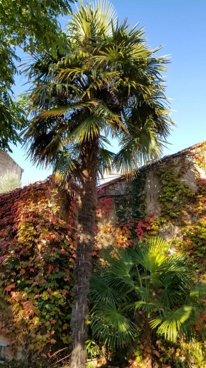 La Maison Blanche Blaye Exterior foto